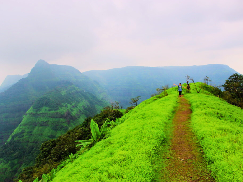Mahan Mountain Trail